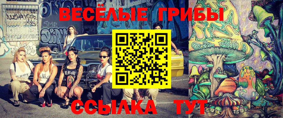 Псилоцибиновые грибы Psilocybe  Галлюциногенные грибы прущие грибы  Вход с VPN  Аргун 